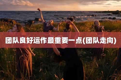 团队良好运作最重要一点(团队走向)