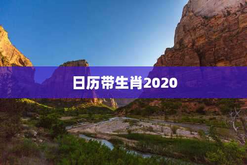 日历带生肖2020