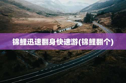 锦鲤迅速翻身快速游(锦鲤翻个)