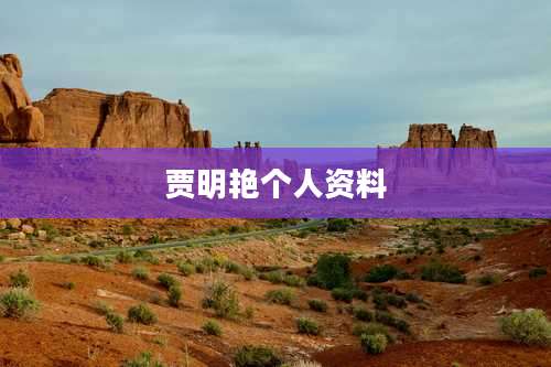 贾明艳个人资料