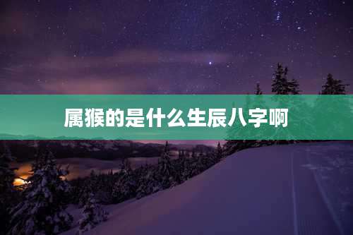 属猴的是什么生辰八字啊