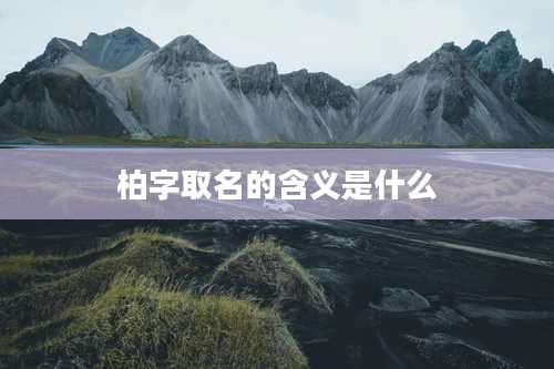 柏字取名的含义是什么