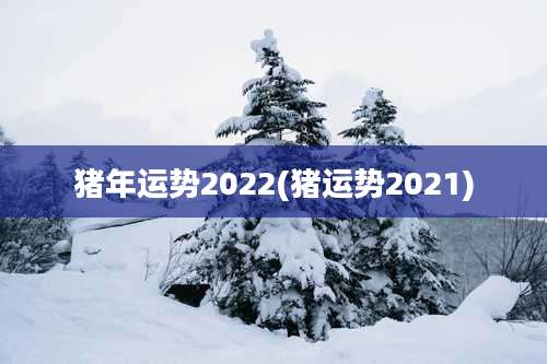 猪年运势2022(猪运势2021)