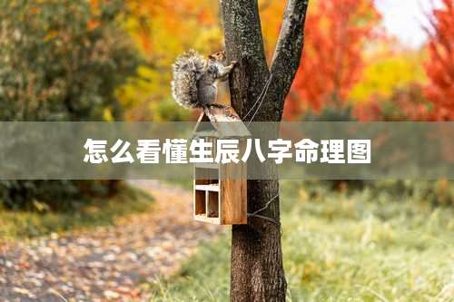 怎么看懂生辰八字命理图