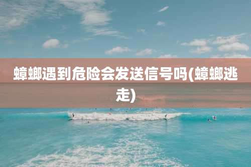 蟑螂遇到危险会发送信号吗(蟑螂逃走)
