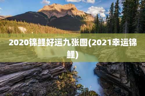 2020锦鲤好运九张图(2021幸运锦鲤)