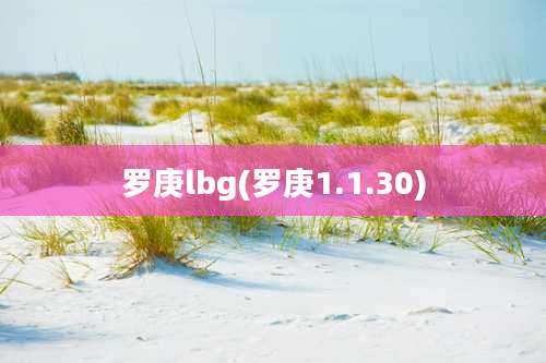 罗庚lbg(罗庚1.1.30)