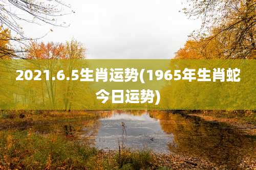 2021.6.5生肖运势(1965年生肖蛇今日运势)