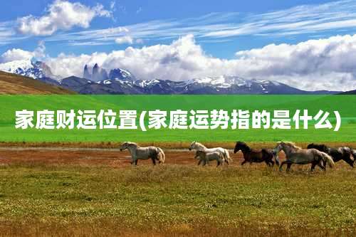 家庭财运位置(家庭运势指的是什么)
