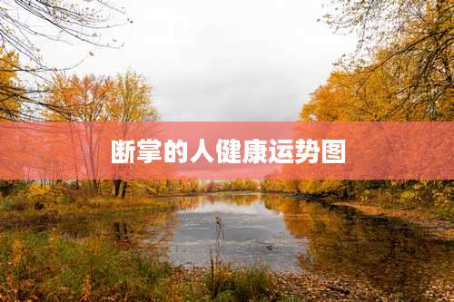 断掌的人健康运势图