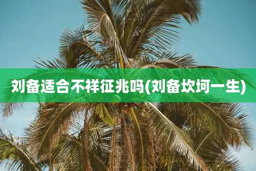 刘备适合不祥征兆吗(刘备坎坷一生)