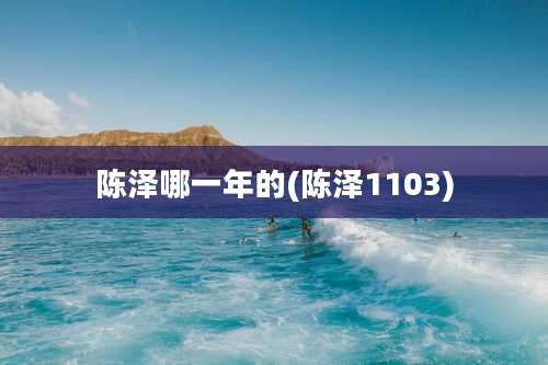 陈泽哪一年的(陈泽1103)