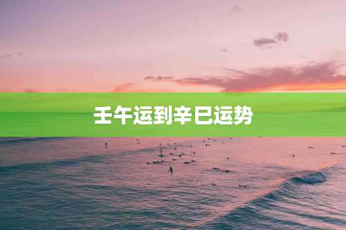 壬午运到辛巳运势