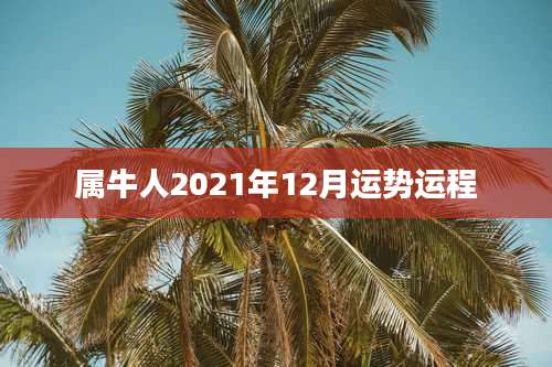 属牛人2021年12月运势运程