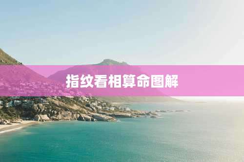 指纹看相算命图解