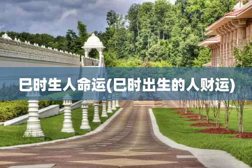 巳时生人命运(巳时出生的人财运)