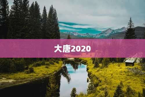 大唐2020