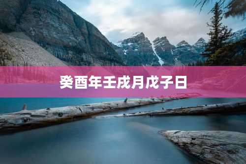 癸酉年壬戌月戊子日