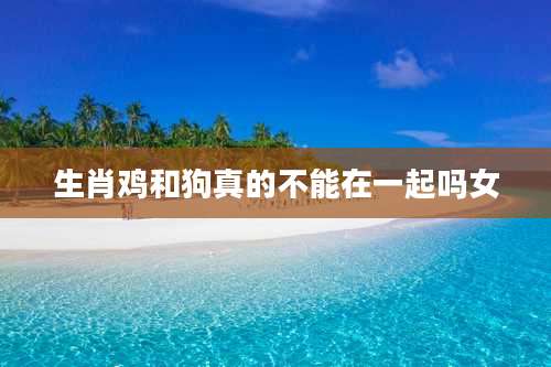 生肖鸡和狗真的不能在一起吗女