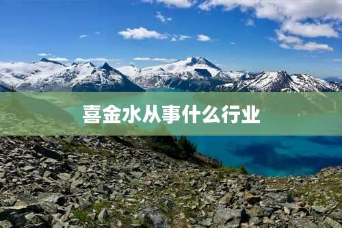 喜金水从事什么行业