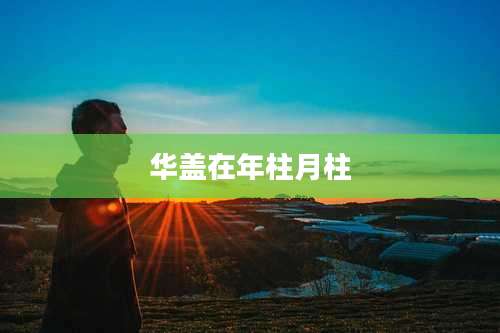 华盖在年柱月柱