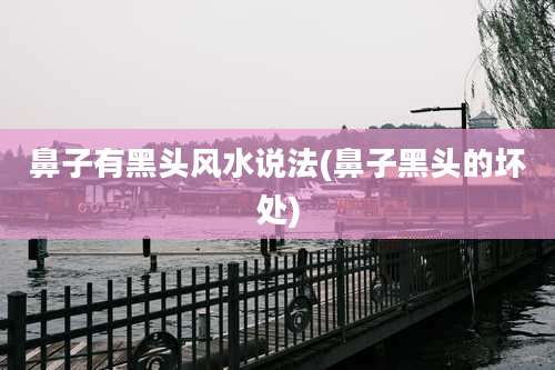 鼻子有黑头风水说法(鼻子黑头的坏处)