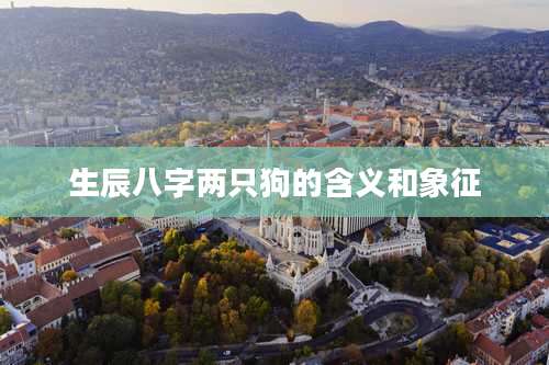 生辰八字两只狗的含义和象征