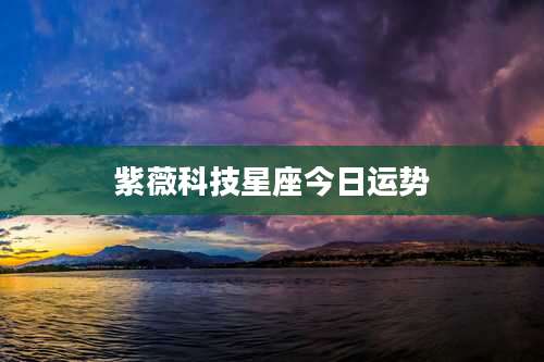 紫薇科技星座今日运势