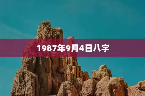 1987年9月4日八字