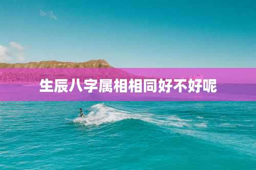 生辰八字属相相同好不好呢