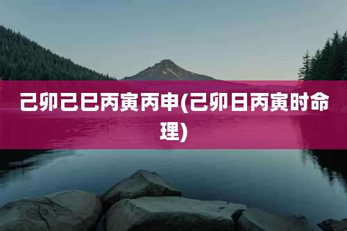 己卯己巳丙寅丙申(己卯日丙寅时命理)