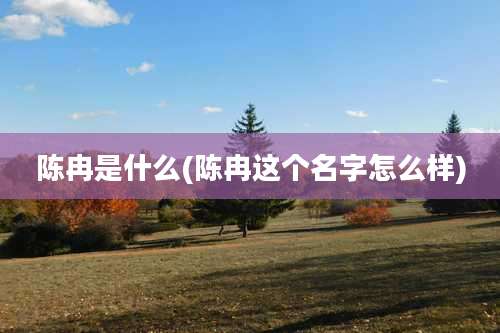 陈冉是什么(陈冉这个名字怎么样)