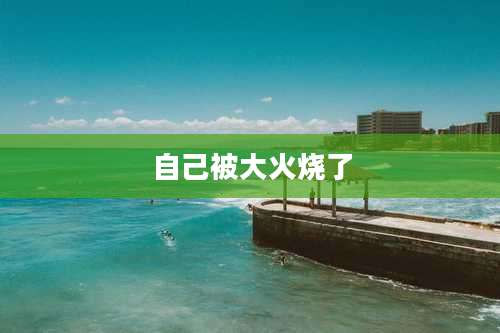 自己被大火烧了