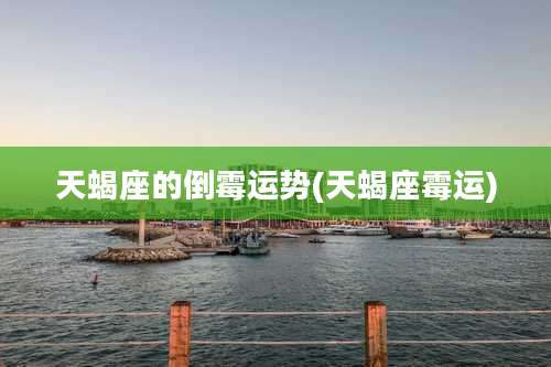 天蝎座的倒霉运势(天蝎座霉运)