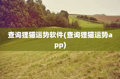 查询狸猫运势软件(查询狸猫运势app)