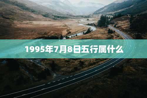 1995年7月8日五行属什么