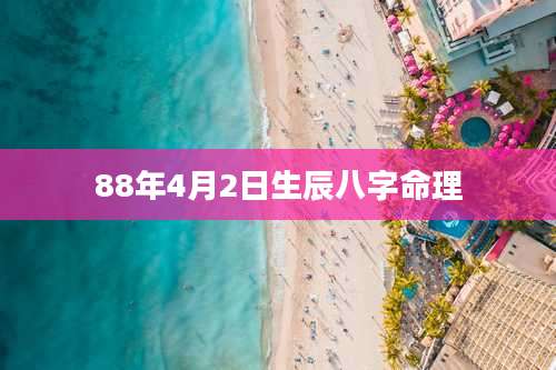 88年4月2日生辰八字命理