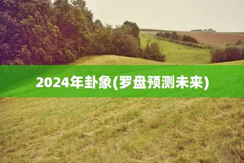 2024年卦象(罗盘预测未来)