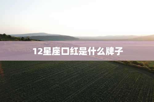 12星座口红是什么牌子