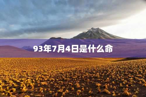 93年7月4日是什么命