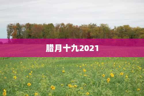 腊月十九2021