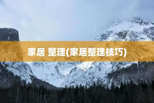 家居 整理(家居整理技巧)