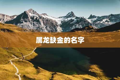 属龙缺金的名字