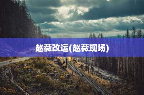 赵薇改运(赵薇现场)