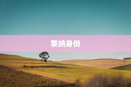 莱纳身份