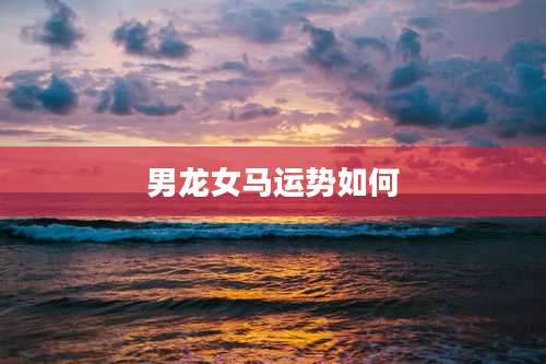 男龙女马运势如何