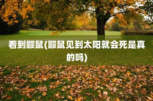 看到鼹鼠(鼹鼠见到太阳就会死是真的吗)