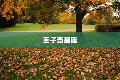 王子奇星座