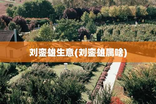 刘銮雄生意(刘銮雄属啥)