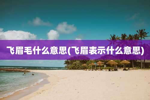 飞眉毛什么意思(飞眉表示什么意思)